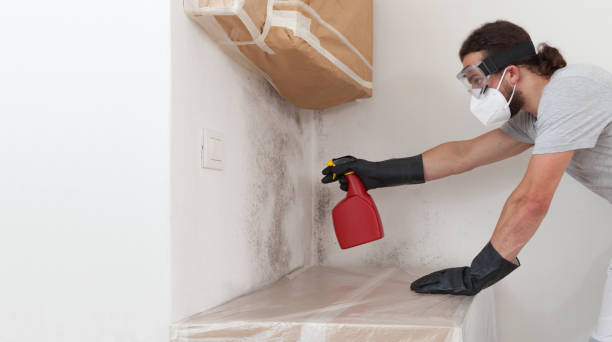 Professional Crawl Space Mold Removal technician working in Roosevelt, NY